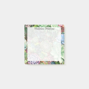 Farbenfroher, sukkultureller Garten Post-it Klebezettel