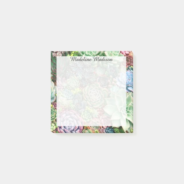 Farbenfroher, sukkultureller Garten Post-it Klebezettel (Vorderseite)