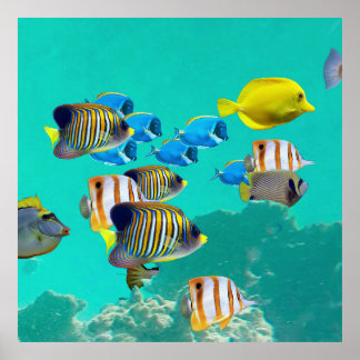 Farbenfroher tropischer Fisch Ein Korallenriff Poster