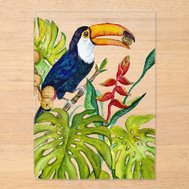 Farbenfroher Tukan Aquarell Tropischer Vogel Acryleinladungen