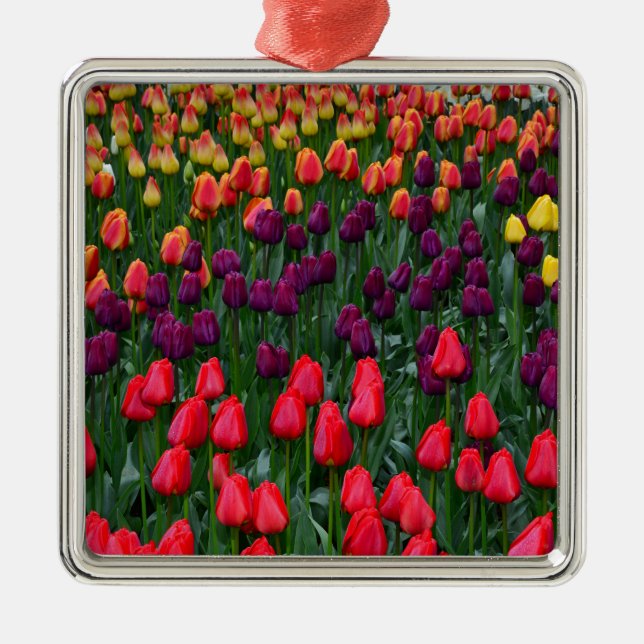 Farbenfroher Tulpenblumengarten Silbernes Ornament (Vorne)