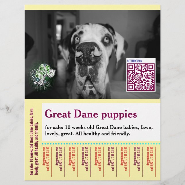 Farbenfrohes Abreiß-Hunde-Flugblatt  Flyer (Vorne)