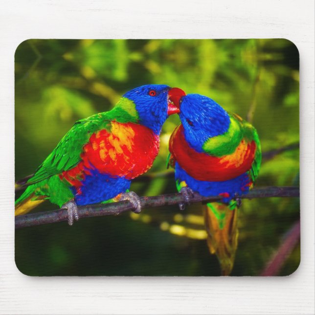 Farbenfrohes Paar küssender Papageien Mousepad (Vorne)