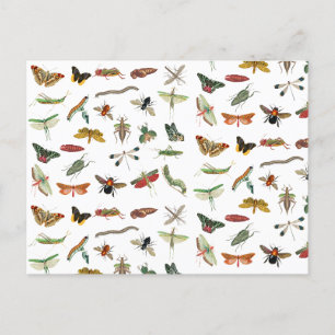 Farbenfrohes Vintage-Insekten-Illustrationsmuster  Feiertagspostkarte