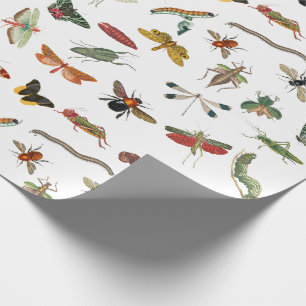 Farbenfrohes Vintage-Insekten-Illustrationsmuster Geschenkpapier