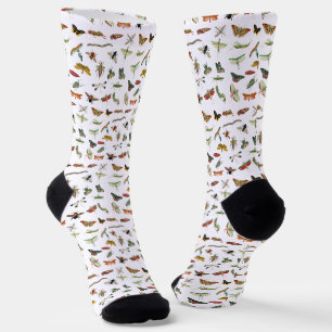 Farbenfrohes Vintage-Insekten-Illustrationsmuster  Socken