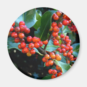 farbenfrohes Wintergeschenk Magnet