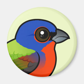 Farbenjagd Magnet