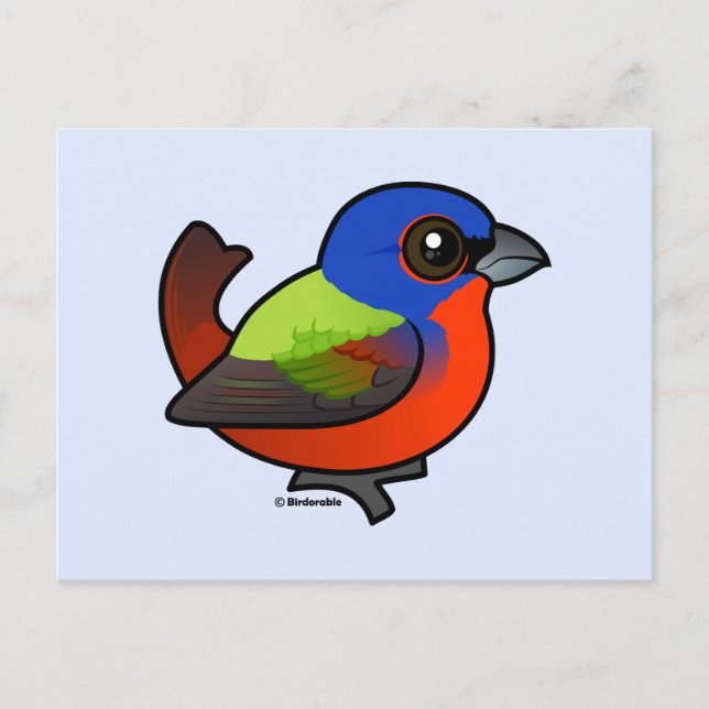 Farbenjagd Postkarte (Vorderseite)