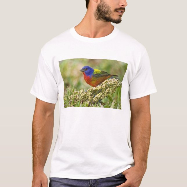 Farbenjagd T-Shirt (Vorderseite)