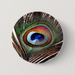 Farbenreiche Kupfer-Pfauenfeder Button