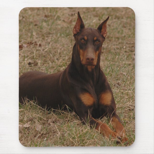 Farbenreicher Rot-und Rost-DobermannPinscher Mousepad (Vorne)