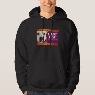 Farbenreicher schwarzer Hoodie! Hoodie