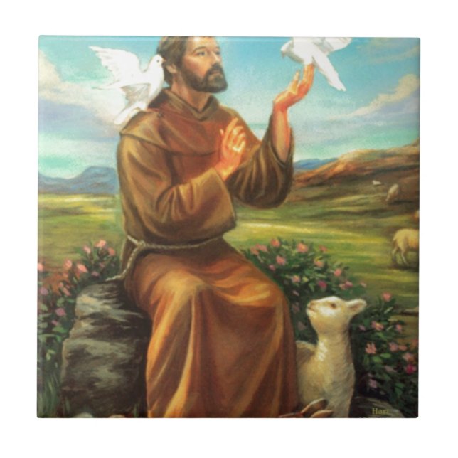 Farbenreiches T-Shirt St Francis, Krawatte, Tasse, Fliese (Vorderseite)