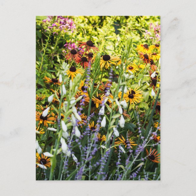 Farbenstoß Postkarte (Vorderseite)