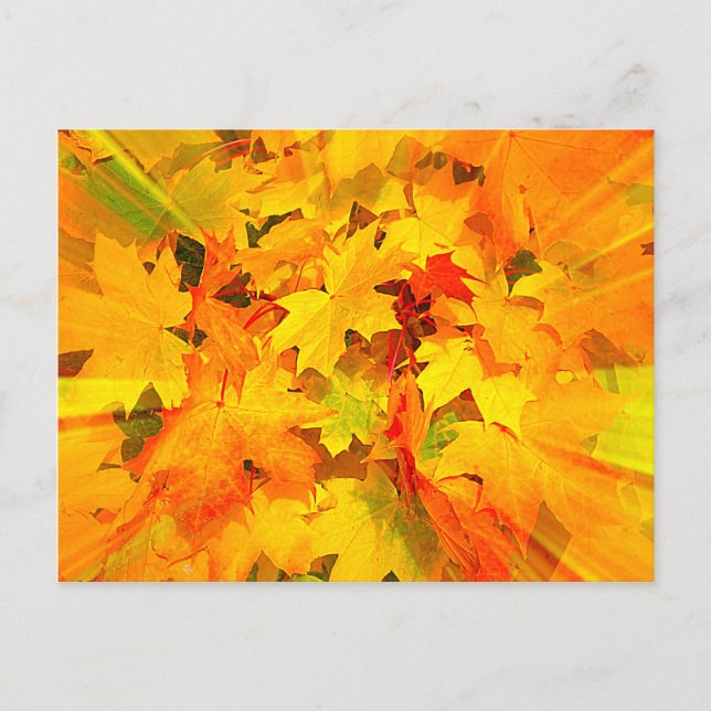 Farbenstoß von Herbstlauben Herbstfarben Postkarte (Vorderseite)