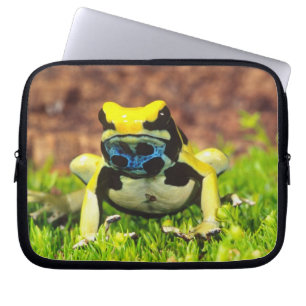 Färberfrosch, Dendrobates tinctorius, Laptopschutzhülle
