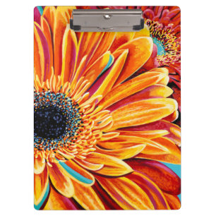 Farbexplosionen II Klemmbrett