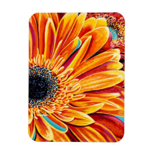 Farbexplosionen II Magnet