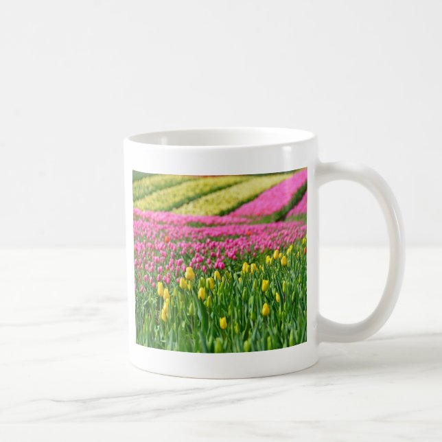 Farbfelder Tasse (Rechts)