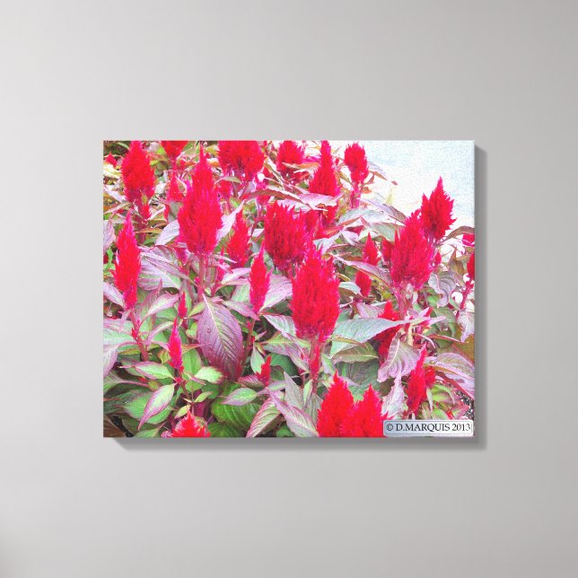 FARBFLORA #2 LEINWANDDRUCK (Vorderseite)