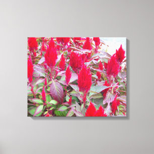 FARBFLORA #2 LEINWANDDRUCK