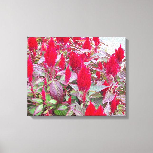 FARBFLORA #2 LEINWANDDRUCK (Vorderseite)