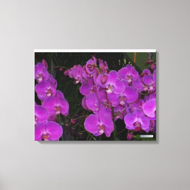 FARBFLORA #3 LEINWANDDRUCK (Vorderseite)