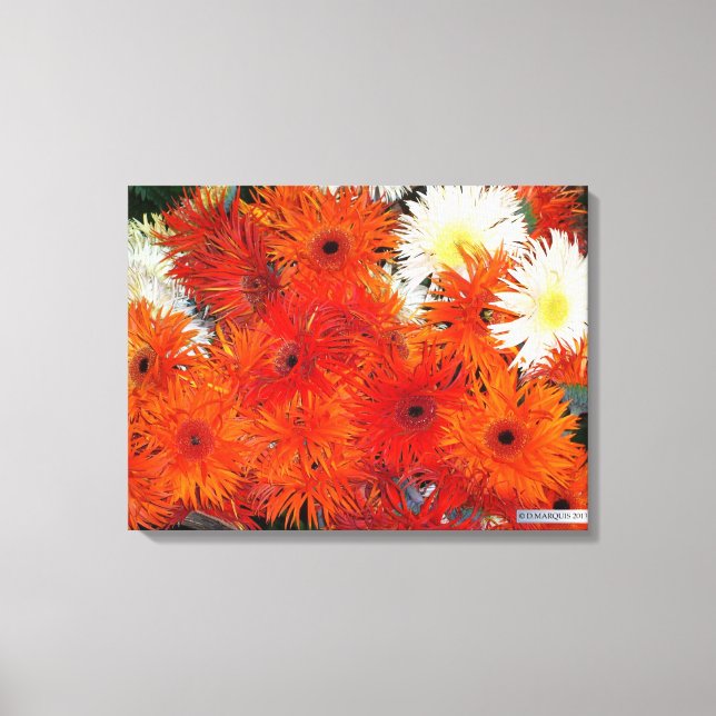 FARBFLORA #5 LEINWAND (Vorderseite)