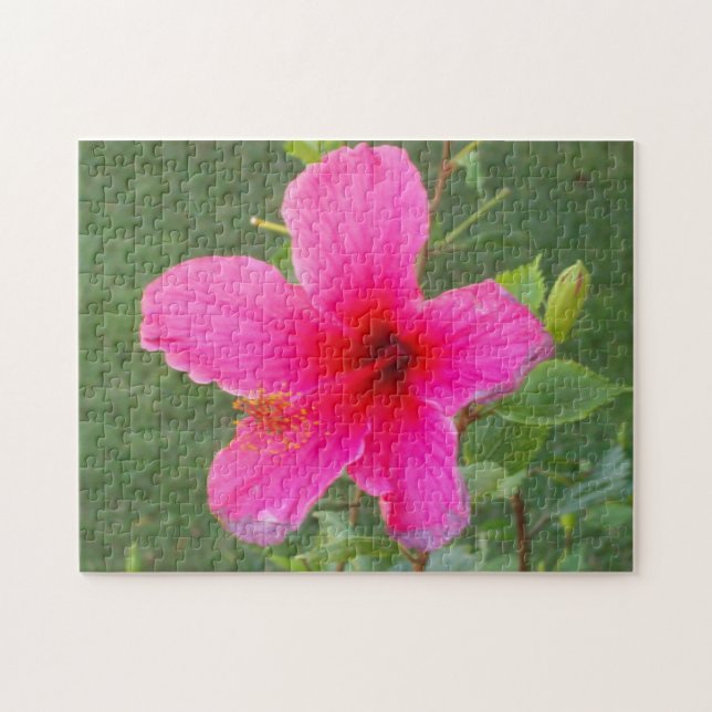 FARBFLORA#6 PUZZLE (Horizontal)