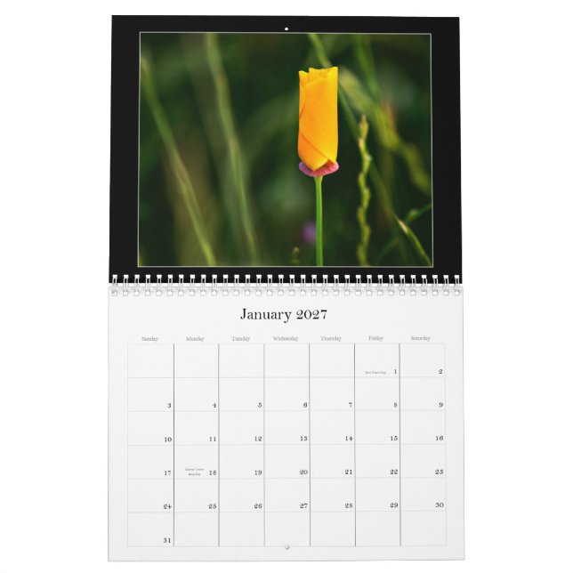 Farbfotografie-Kalender 2010 Kalender (Jan 2027)