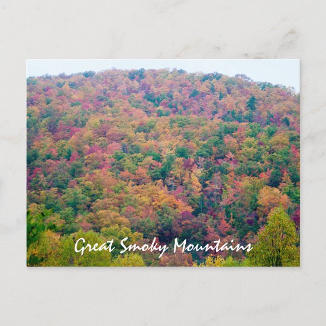 Farbhalle Postkarte (Vorderseite)