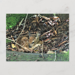 farbig postkarte