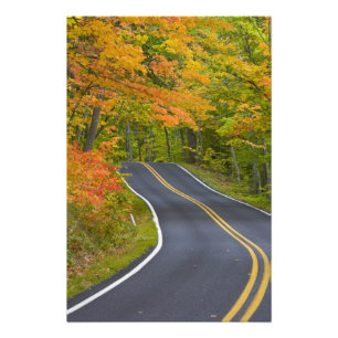 Farbige Ahornbäume im Herbst säumen die landschaft Fotodruck