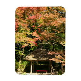 Farbige Ahornbäume und Erholung Magnet