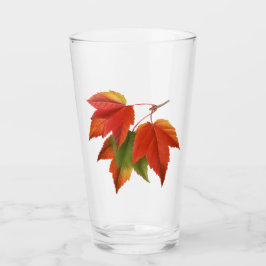 Farbige Ahornblätter Glas