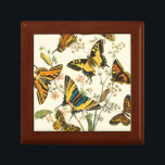 Farbige Ansammlung von Schmetterlingen und Raupen Schmuckschachtel<br><div class="desc">Wie viel farbiger kannst du bekommen? Diese Ansammlung von Schmetterlingen und Raupen Pop mit Pigment,  die die Augen mit Schönheit angreifen. Jetzt drucken!</div>