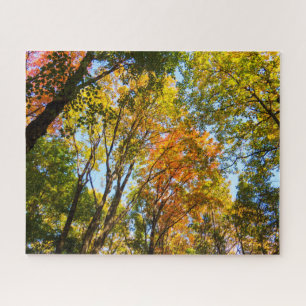Farbige Bäume Puzzle