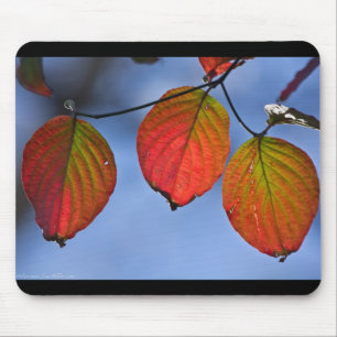 Farbige beleuchtete Herbstblätter Trio Mousepad
