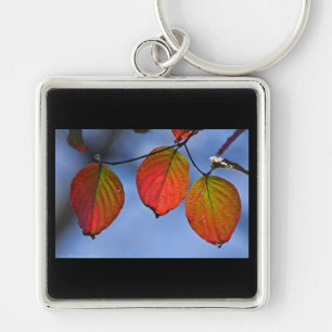 Farbige beleuchtete Herbstblätter Trio Schlüsselanhänger