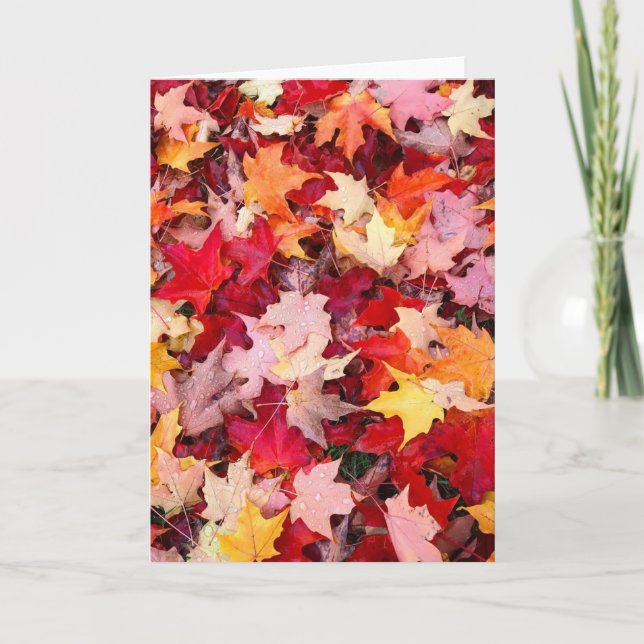 Farbige Blätter des Herbstes Karte (Vorderseite)