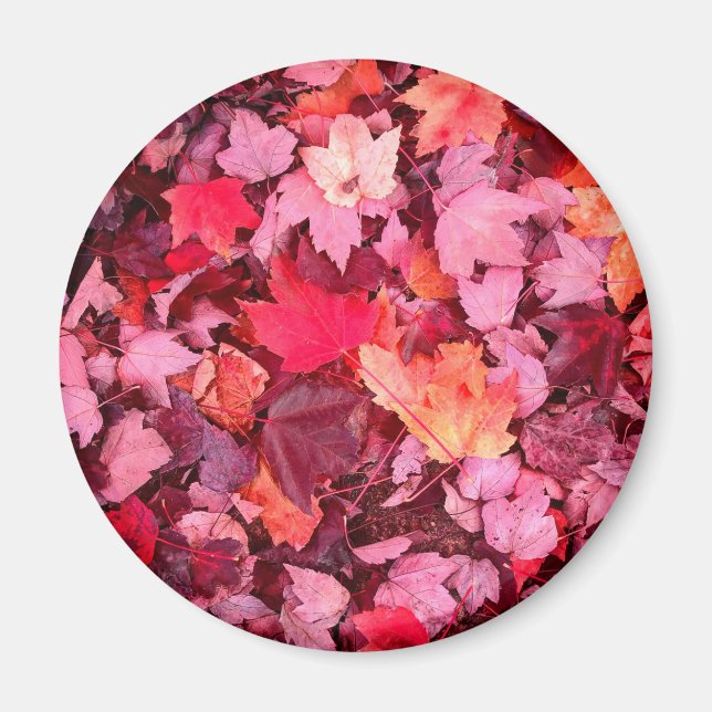 Farbige Blätter des Herbstes Magnet (Vorne)