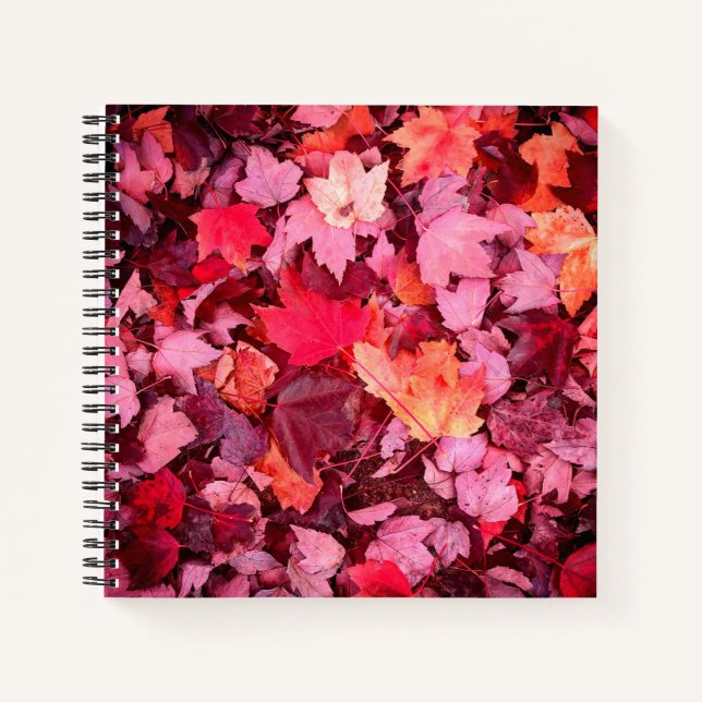 Farbige Blätter des Herbstes Notizbuch (Vorderseite)