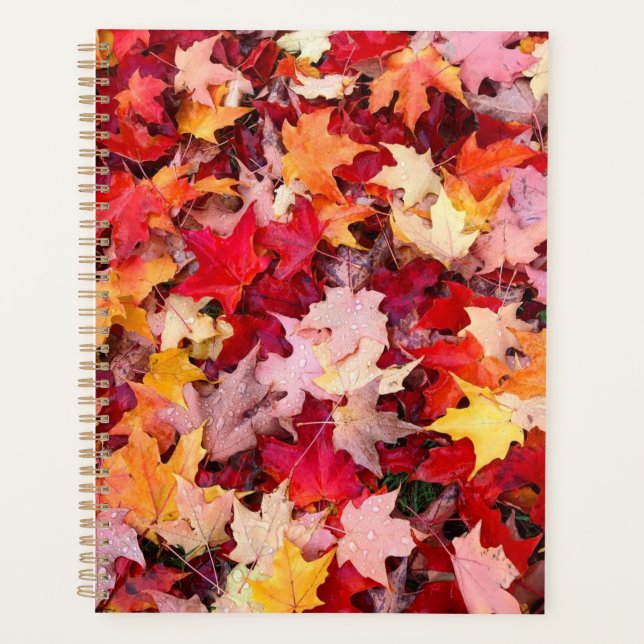 Farbige Blätter des Herbstes Planer (Vorderseite)