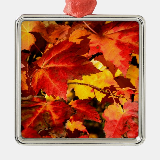 Farbige Blätter im Herbst, goldfarbenes orangefarb Silbernes Ornament (Vorne)