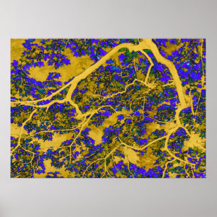 Farbige blaue und gelbe Bäume Poster