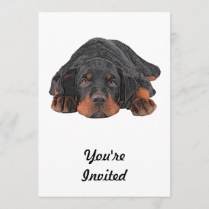 Farbige Bleistift Zeichnend Rottweiler-Welpenaugen Einladung