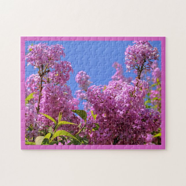[Farbige Blume] Pink Lilac Syringa Puzzle (Horizontal)