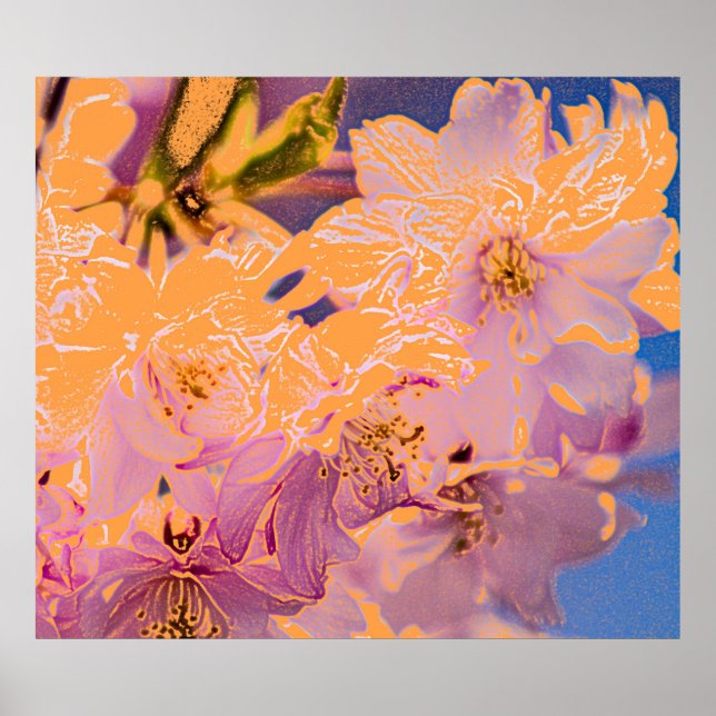 Farbige Blume Poster (Vorne)