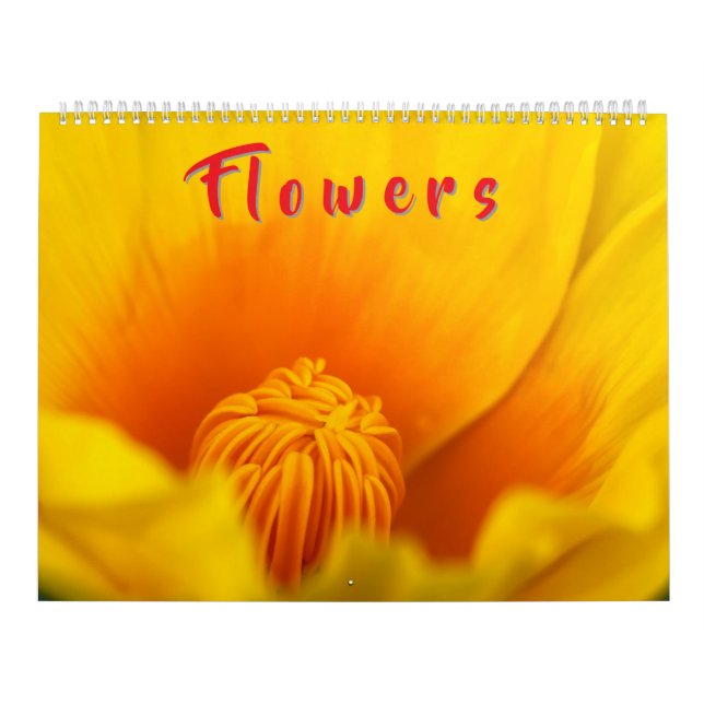 Farbige Blumen  Kalender (Titelbild)